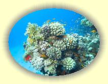 IMG_2007_05_27 18_30_14 * 2252 x 1684 * (658KB)